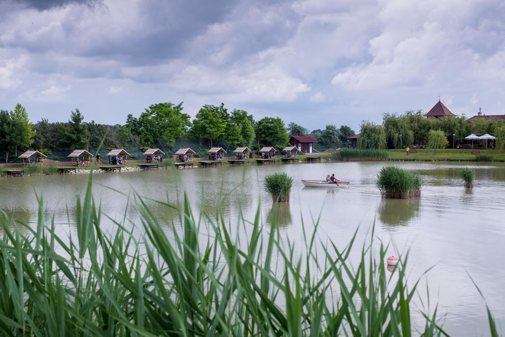 Nádas Tó Park Hotel Vasad Kültér fotó